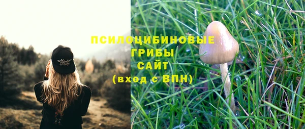 гашик Горнозаводск