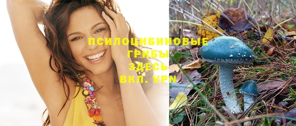 spice Горняк