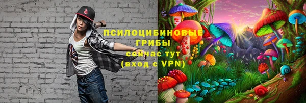 хмурый Горно-Алтайск