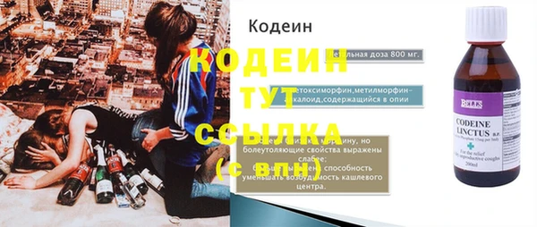 хмурый Горно-Алтайск