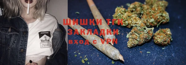 spice Горняк