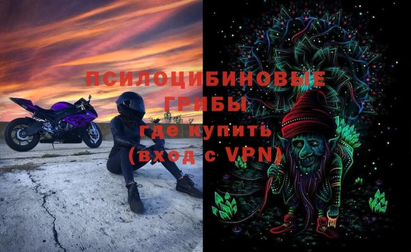 хмурый Горно-Алтайск
