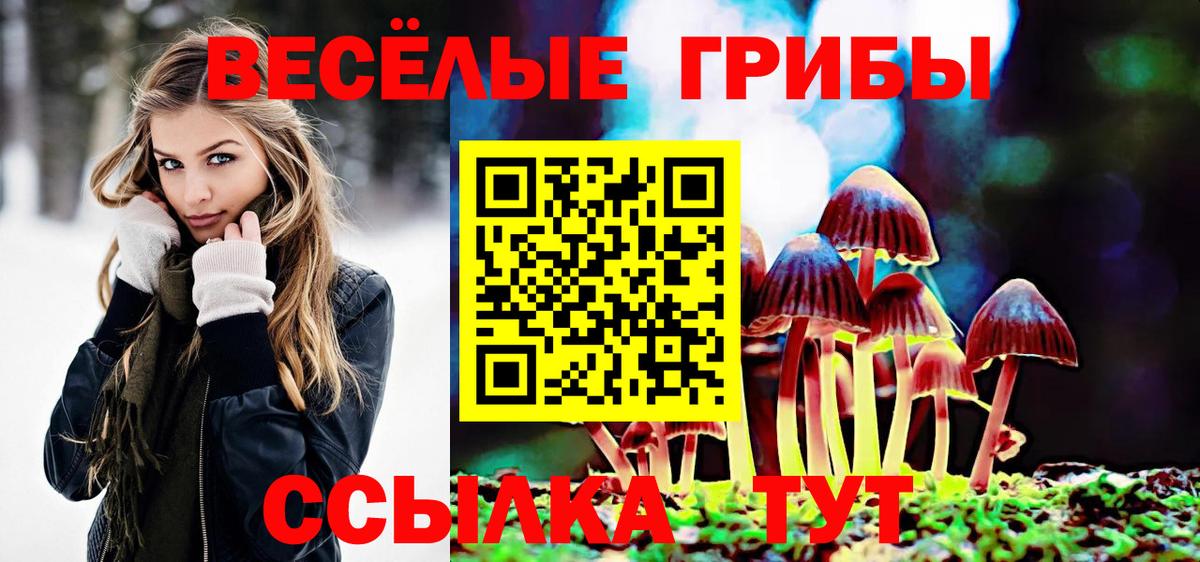Галлюциногенные грибы GOLDEN TEACHER Железногорск