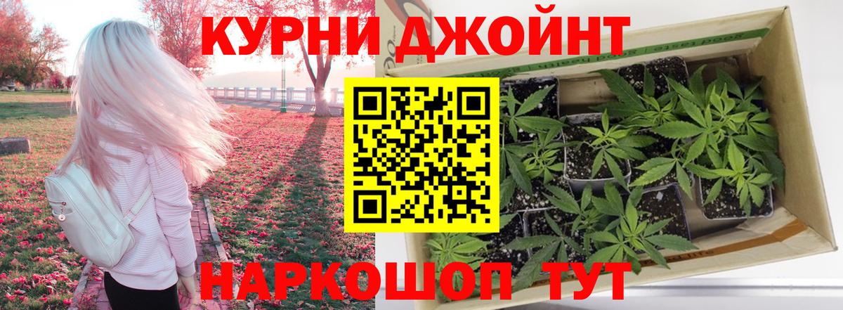 Бошки марихуана индика  Шишки марихуана AK-47  Железногорск  Марихуана сатива  Вход с VPN 